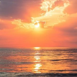 Meet your Posher, Avery